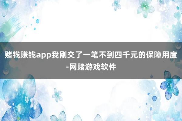 赌钱赚钱app我刚交了一笔不到四千元的保障用度-网赌游戏软件