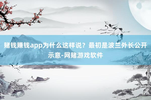 赌钱赚钱app为什么这样说？最初是波兰外长公开示意-网赌游戏软件