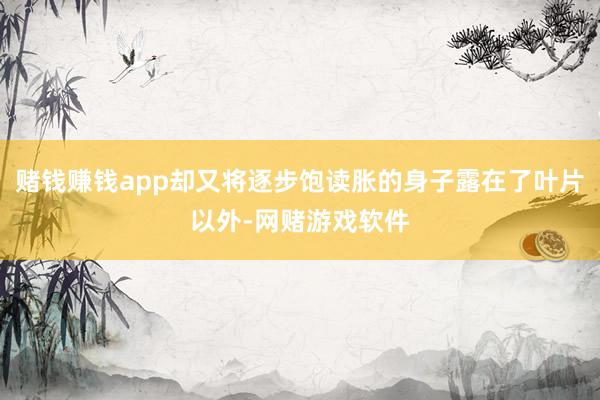 赌钱赚钱app却又将逐步饱读胀的身子露在了叶片以外-网赌游戏软件