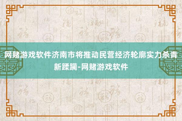 网赌游戏软件济南市将推动民营经济轮廓实力杀青新蹂躏-网赌游戏软件